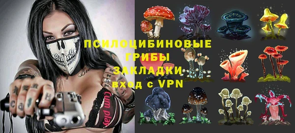 прущая мука Богданович